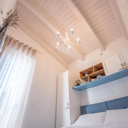 Laportulaca Relax & Nature